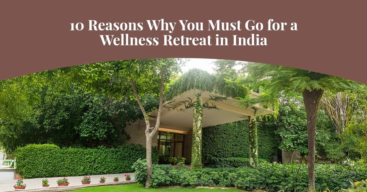 10 Reasons Why You Must Go for a Wellness Retreat in India