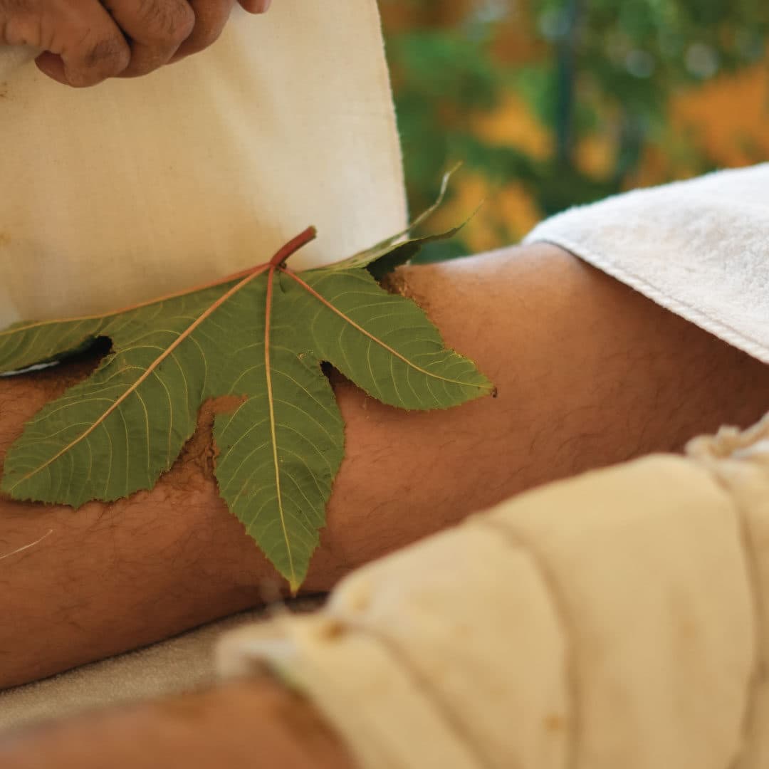 Musculoskeletal Pain & Flexibility Management Program