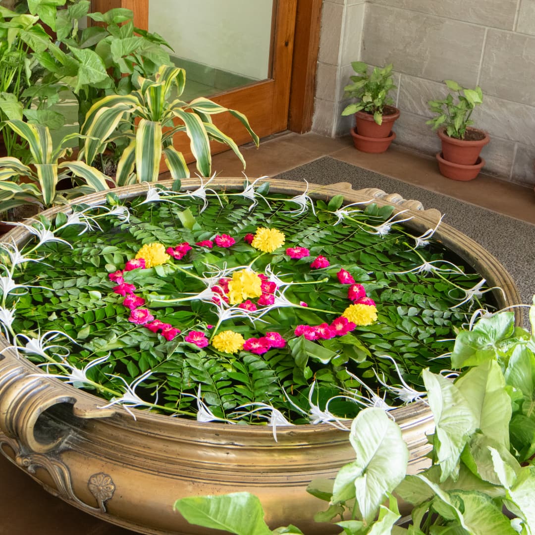 click to open in full screen Wellness Space 4