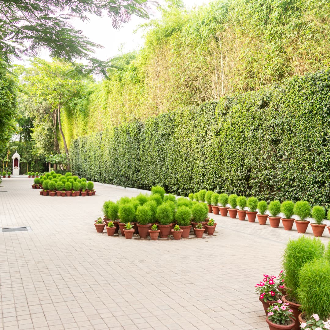 click to open in full screen Wellness Space 6